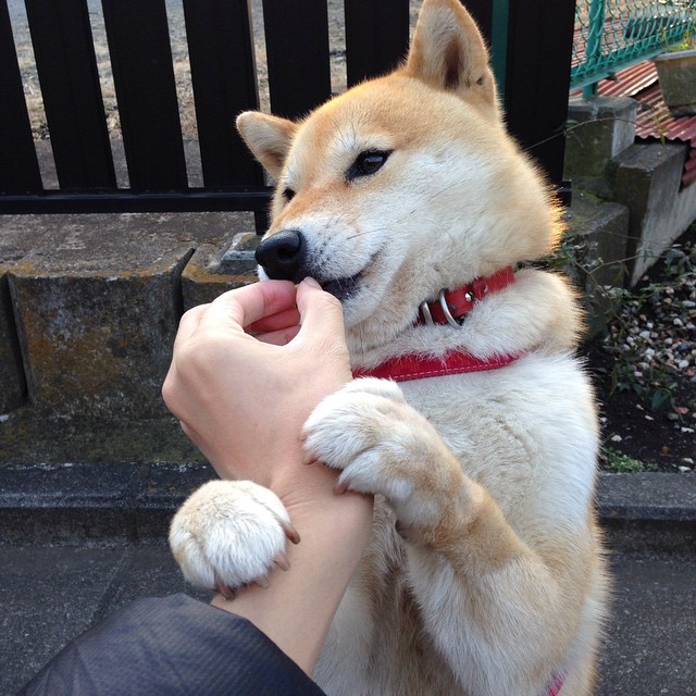 曼联发布全新主场球衣设计,曼联主场球服