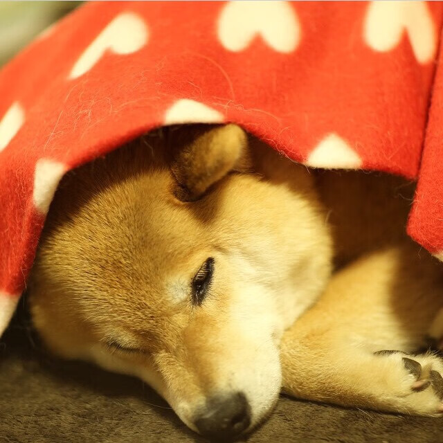 李恩:全黑队的“攻防一体”,无论是防守还是进攻,他都表现出色