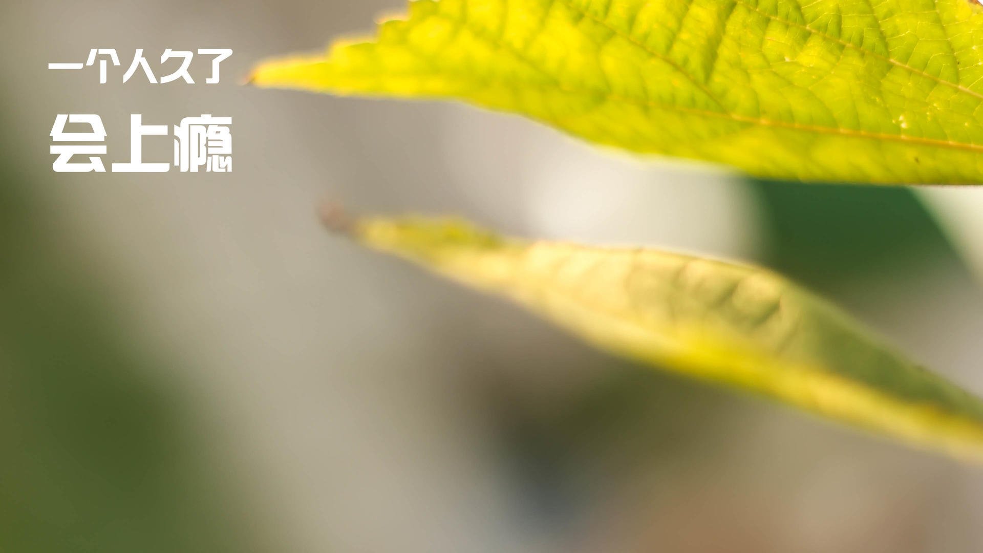 莱德基展现无可匹敌的竞技状态，莱德基2021