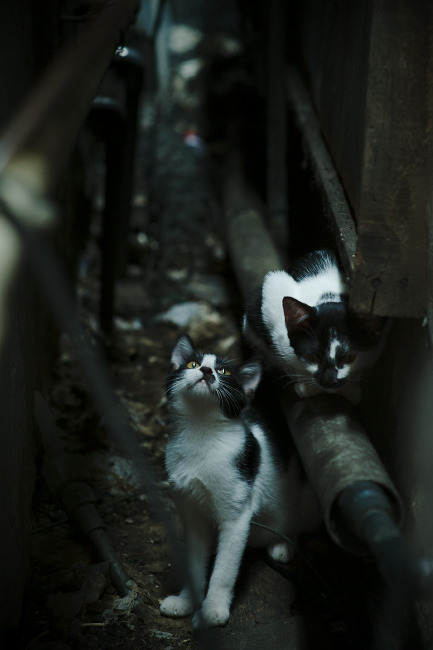 阿根廷年轻天才逐步崭露头角，球队未来充满希望